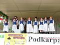 spot folk 07_09